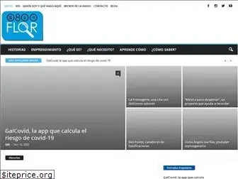 0800flor.net