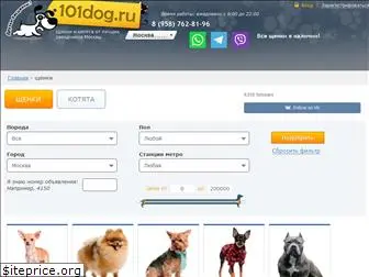 101dog.ru