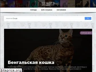 101kote.ru