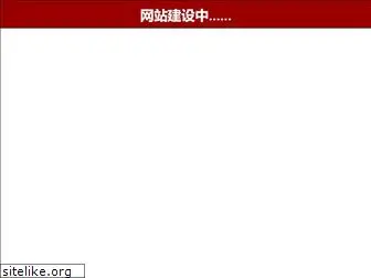 17995api.net