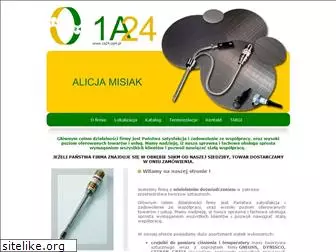 1a24.com.pl