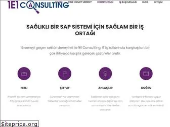 1e1consulting.com