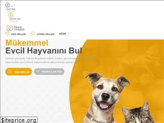 1kedi1kopek.com