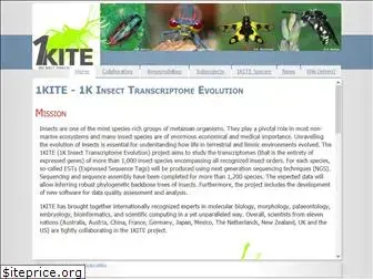 1kite.org