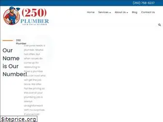 250plumber.com