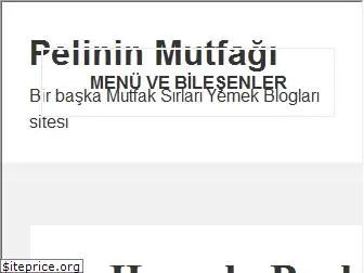 67pelinin.mutfaksirlari.com