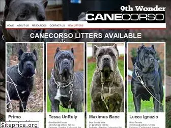 9thwondercanecorso.com