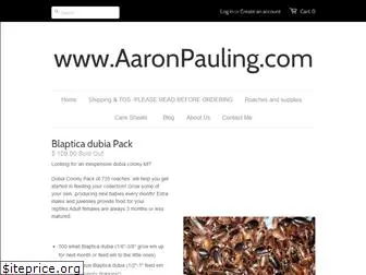 aaronpauling.com