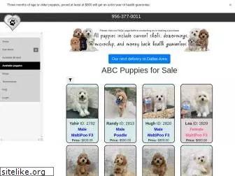 abcpuppy.com