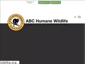 abcwildlife.com