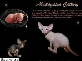 abeitagatos.com