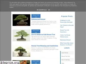 about-bonsai.blogspot.com
