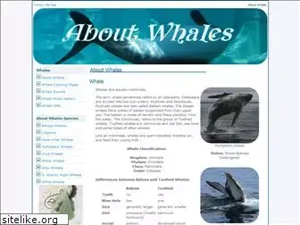 about-whales.com