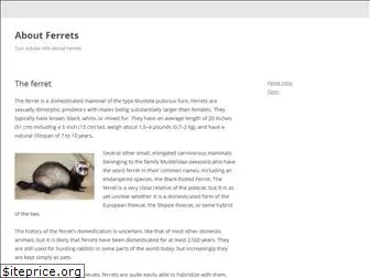 aboutferret.com