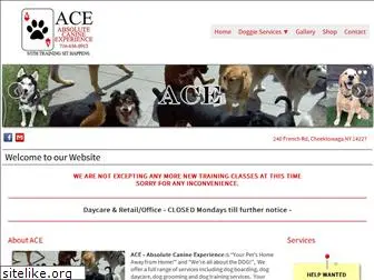 absolutecanineexperience.com