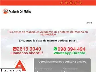 academiadelmolino.com.uy