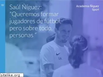 academianiguez.com