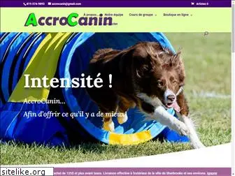 accrocanin.com