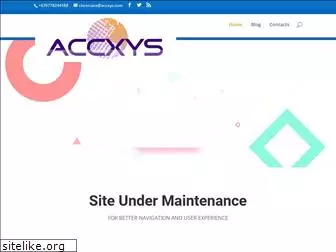 accxys.com