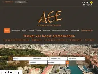 ace-immo-entreprise.com