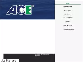 ace-sg.com