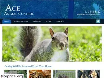 aceanimalcontrol.org