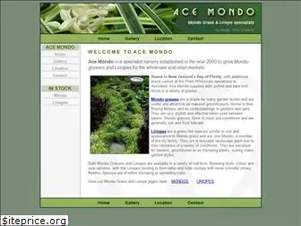 acemondo.co.nz