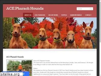 acepharaohhounds.com