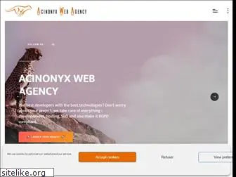 acinonyxweb.agency