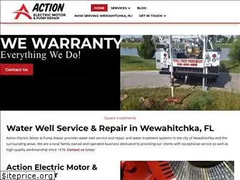 actionelectricmotorandpump.com