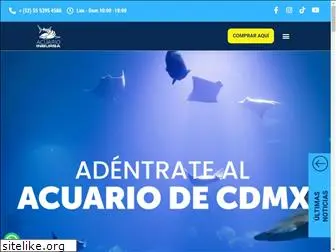 acuarioinbursa.com.mx