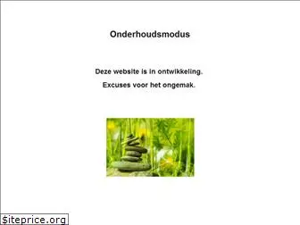 acupunctura.nl