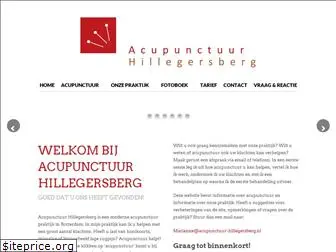 acupunctuur-hillegersberg.nl