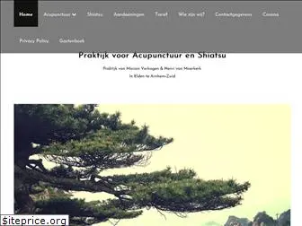 acupunctuurshiatsu-praktijk.nl