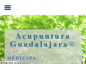 acupunturaguadalajara.mx