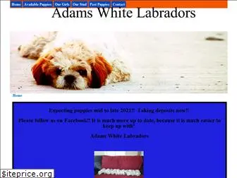 adamswhitelabradors.com