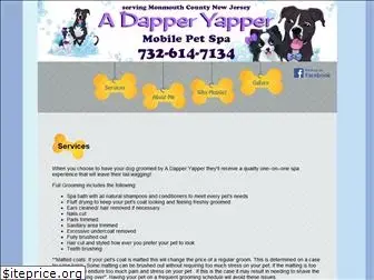 adapperyapper.com