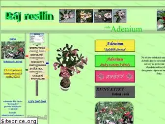 adenium.cz