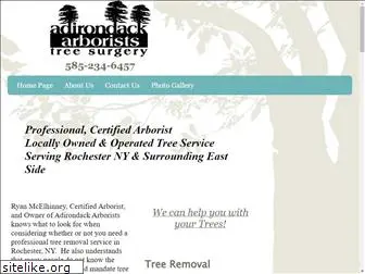 adirondackarborists.com