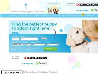 adopt-a-shelter-puppy.adoptapet.com