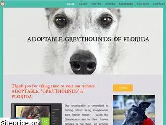 adoptablegreyhoundsofflorida.com