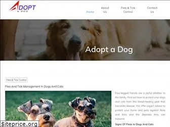 adoptadog.org.nz