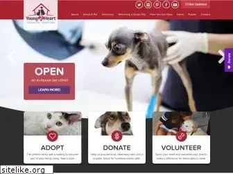 adoptaseniorpet.com