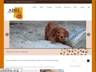 adorabledowneastlabradoodles.com