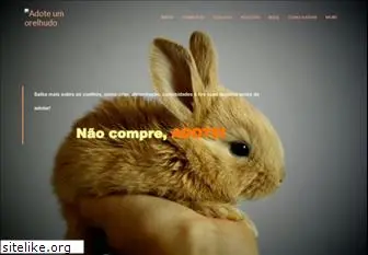 adoteumorelhudo.com