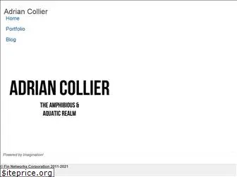 adriancollier.com