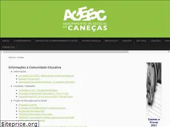 aecanecas.com