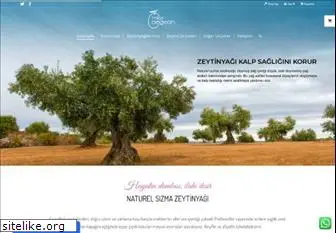 aegean.com.tr