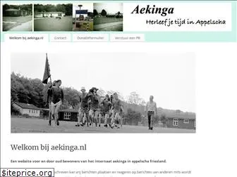 aekinga.nl