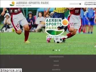 aerbinsportspark.com